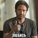 ���� ����, ������, 40 ��� - ��������� 26 ������ 2024 � ������ ���� ����������