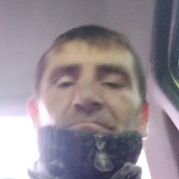 ������, ���������, 48 ���