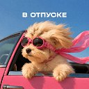 ���� �����, �����-���������, 46 ��� - ��������� 24 ���� 2026 � ������ ������ ��������