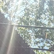 , 19 , 