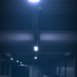 �������, ������ ��������, 38 ���