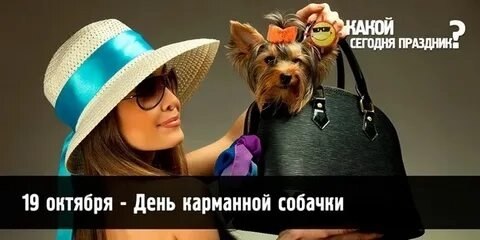 : , . - 7