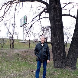 , 57, 