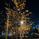 ���� �������, �����������, 63 ���� - ��������� 12 ������� 2024 � ������ ������ �����������