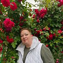 ���� ����, �������, 49 ��� - ��������� 10 ������ 2026 � ������ ���� ����������