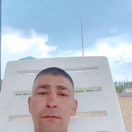 , 37, 