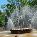  &quot;&quot;   , ,  2024