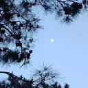 ���� ��������, ������ �����, 41 ��� - ��������� 14 �������� 2025 � ������ ���� ����������