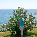 ���� �������, �������� - ��������� 8 ������ 2026 � ������ ���� ����������