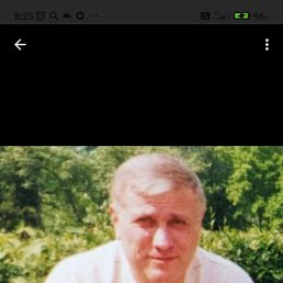 , 61, 