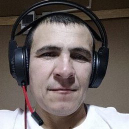 ����, �����-���������, 38 ���