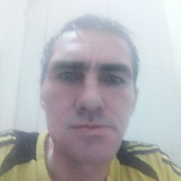 �����, ������, 40 ���