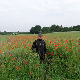 ������, �����������, 53 ����