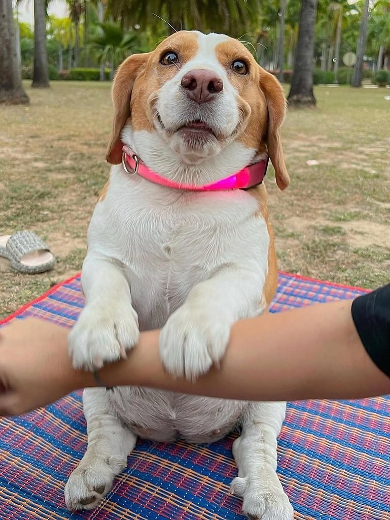    ,    ,     .  ,  , ... - 3