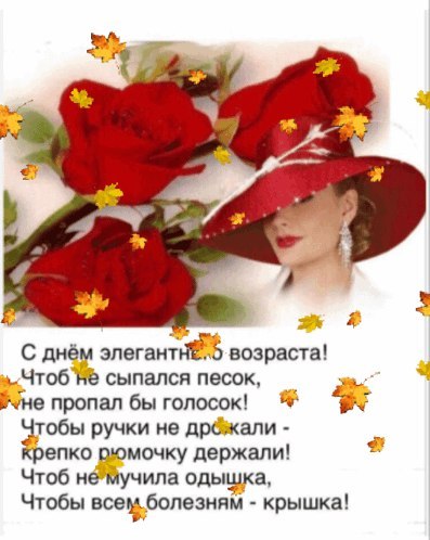  - 1  2025  11:43