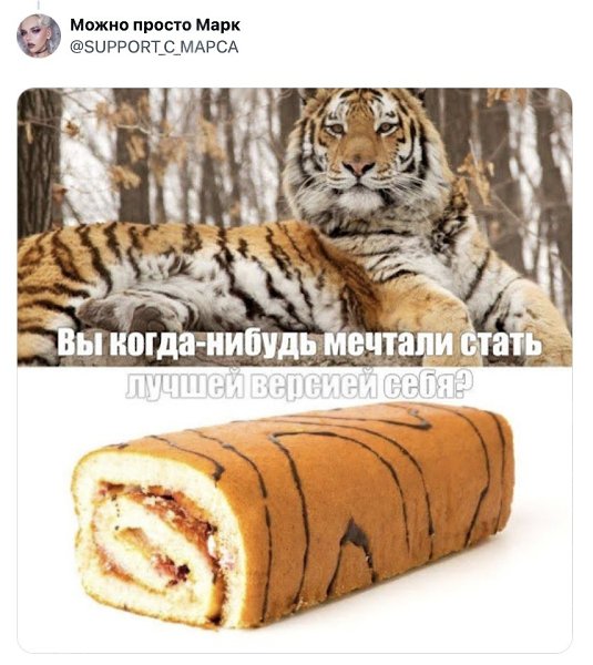 � X ������������ ������ �� �pe����a��� ����� � ���, ����� ���e� ����� �e����� � 2026 ����. ... - 3