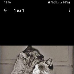 ���� ������, ��������, 38 ��� - ��������� 11 ������� 2024