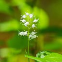 ���� ������, �������, 54 ���� - ��������� 18 ������ 2025 � ������ ����������� ������