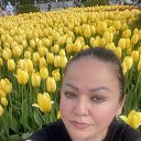 ���� �������, ������, 49 ��� - ��������� 26 ����� 2026