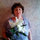 ���� ������, ������, 58 ��� - ��������� 5 ��� 2024 � ������ ���� ����������