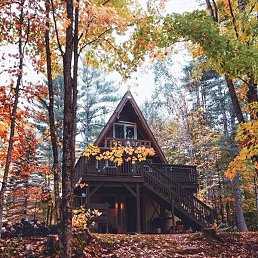 Zarina, �����, 36 ���