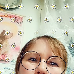 ���� �������, ������, 41 ��� - ��������� 5 ������ 2024