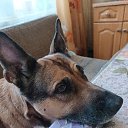  Madam, - -  15  2025    