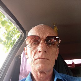 , 51 , 