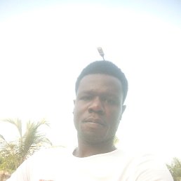 Alfred, ��������, 33 ����