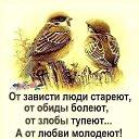 ���� No Name, ������������ - ��������� 23 ��� 2024 � ������ ���� ����������