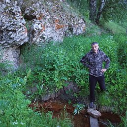 ������, 44 ����, ������