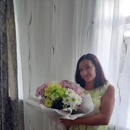 ���� �������, ������, 49 ��� - ��������� 4 ������� 2024