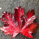 ���� �����, �����-��������� - ��������� 4 ������� 2023 � ������ ������ ��������