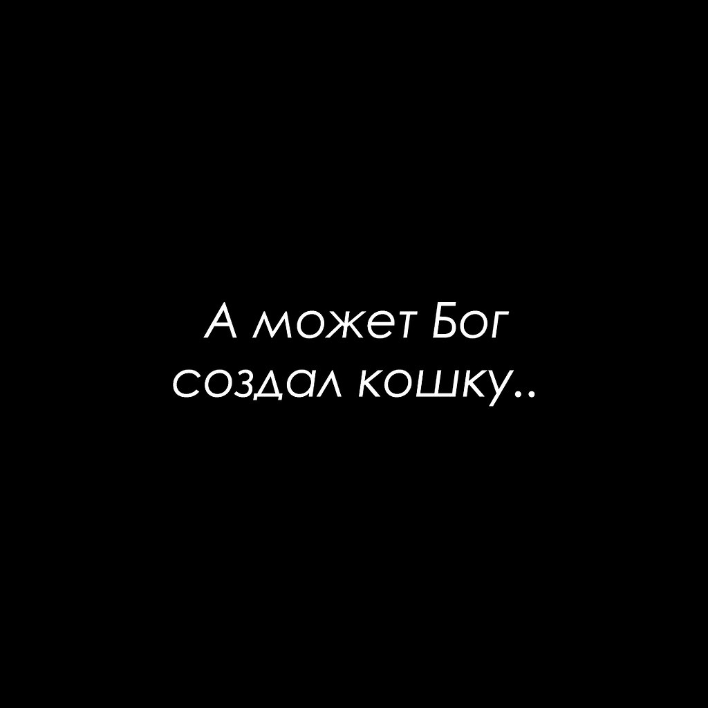 Красиво сказано - 7 октября 2025 в 21:12