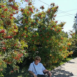 ���� �����, ��������� - ��������� 6 ������ 2025