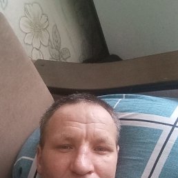 ������, 41 ���, ������