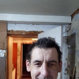 , 41, 