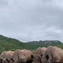 ���� ���������, �������������, 75 ��� - ��������� 1 ������� 2024 � ������ ���� ����������