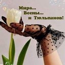 ���� ����, ��������� - ��������� 25 ��� 2026 � ������ ������ ��������