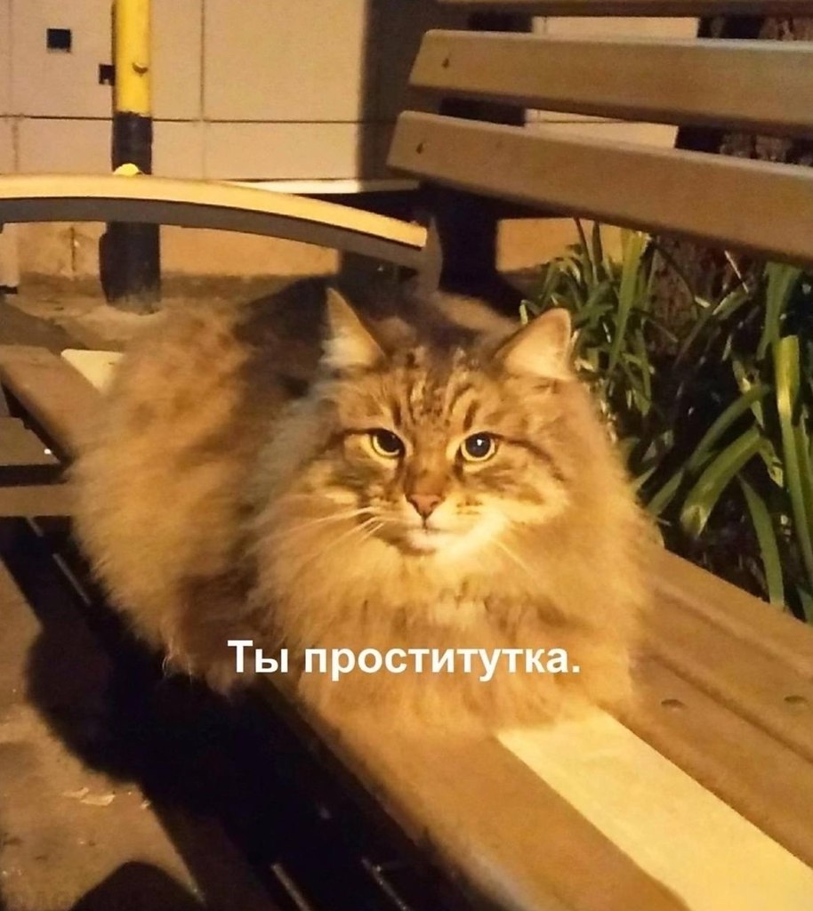  . - 3