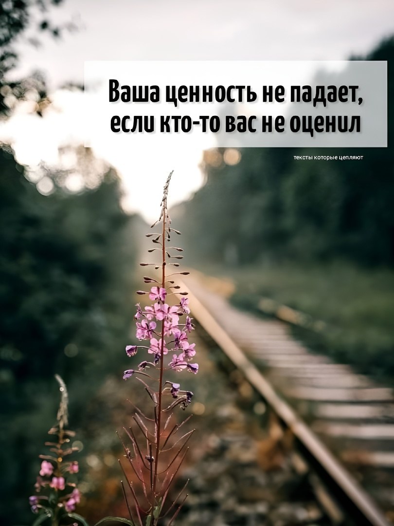 �������� - 14 ����� 2025 � 17:39