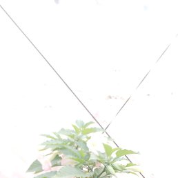 ���� �����, �����������, 35 ��� - ��������� 14 ������ 2026