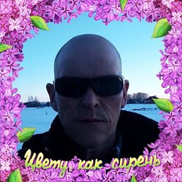 �����, ������, 53 ����