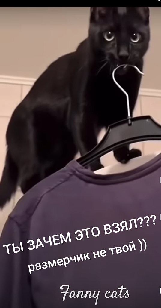   - 16  2025  22:47