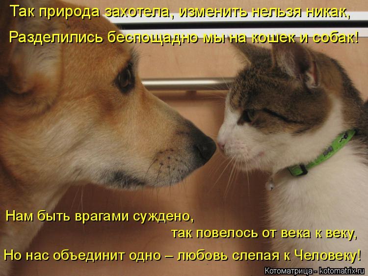  - 10  2024  21:01