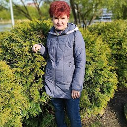 �����, �����������