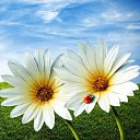 ���� ������, ��������������, 43 ���� - ��������� 22 ������ 2025 � ������ ���� ����������