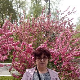 , 58, 