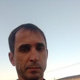 , 41, 
