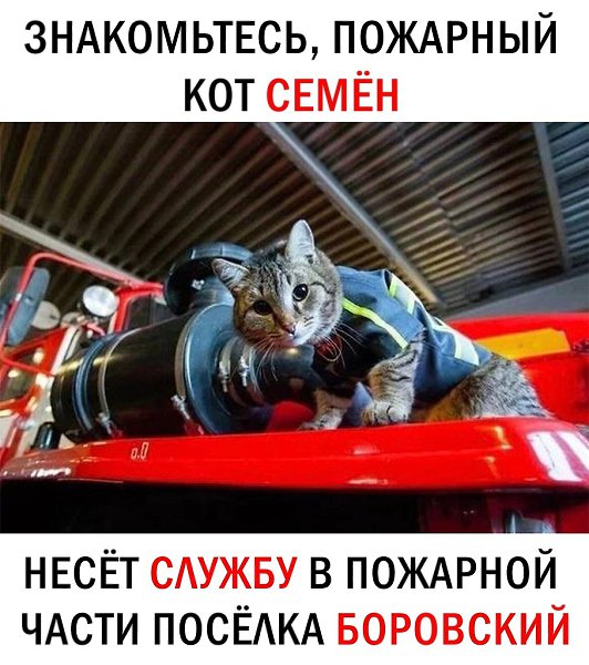 �������� ������ - 24 ������ 2025 � 09:03